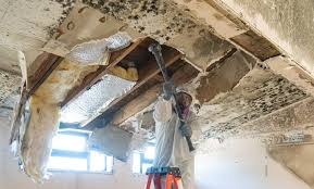 Best Attic Mold Removal  in Cumming, GA